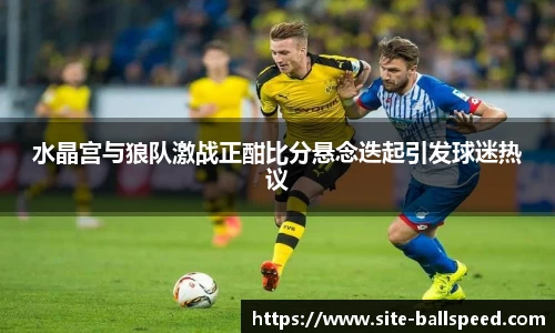 球速体育官方网站